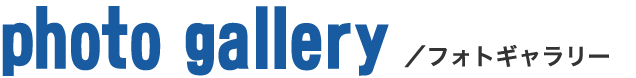 ギャラリー